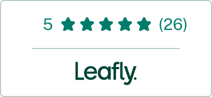 Dispensary Reviews