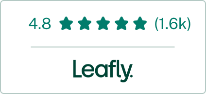 Dispensary Reviews